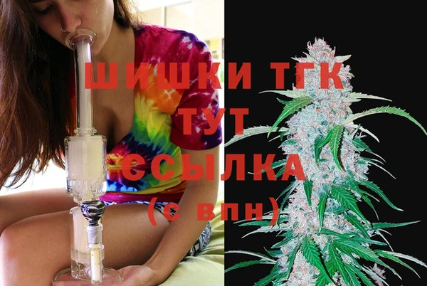 МДПВ Козловка