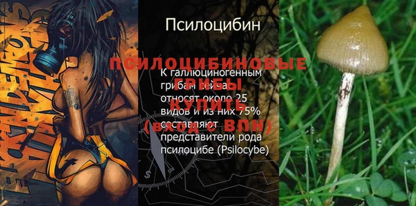 apvp Кодинск