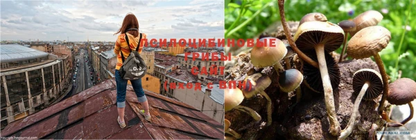 МДПВ Козловка