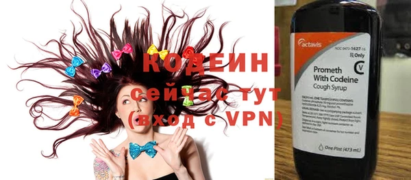 apvp Кодинск