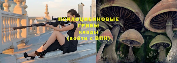 мяу мяу кристалл Корсаков
