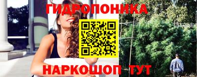 ПСИЛОЦИБИНОВЫЕ ГРИБЫ Пугачёв