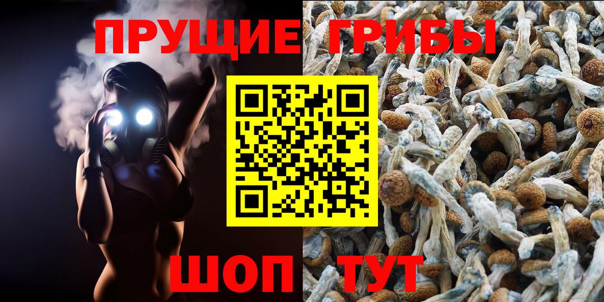 Якутск  Галлюциногенные грибы мухоморы  Вход с VPN  Галлюциногенные грибы мухоморы 